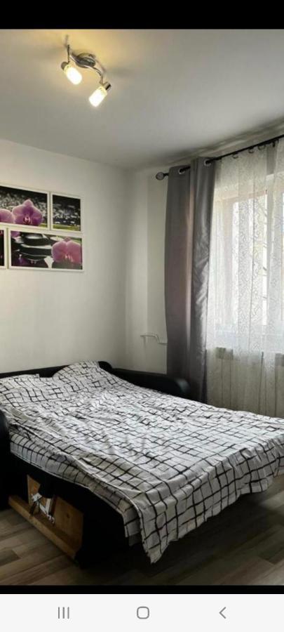 Zenapartment Braşov Exteriör bild